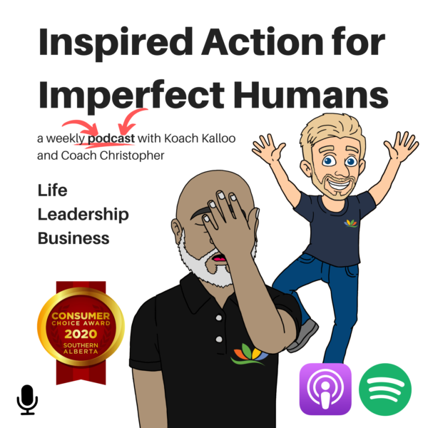 Image Link for Inspired Action for Imperfect Humans Podcast